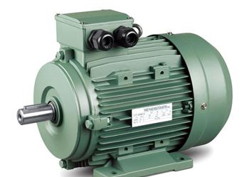 Picture for category Electrical Motor
